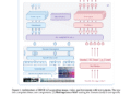 Baidu Open Sources ERNIE 4.5: LLM Series Scaling from 0.3B to 424B Parameters